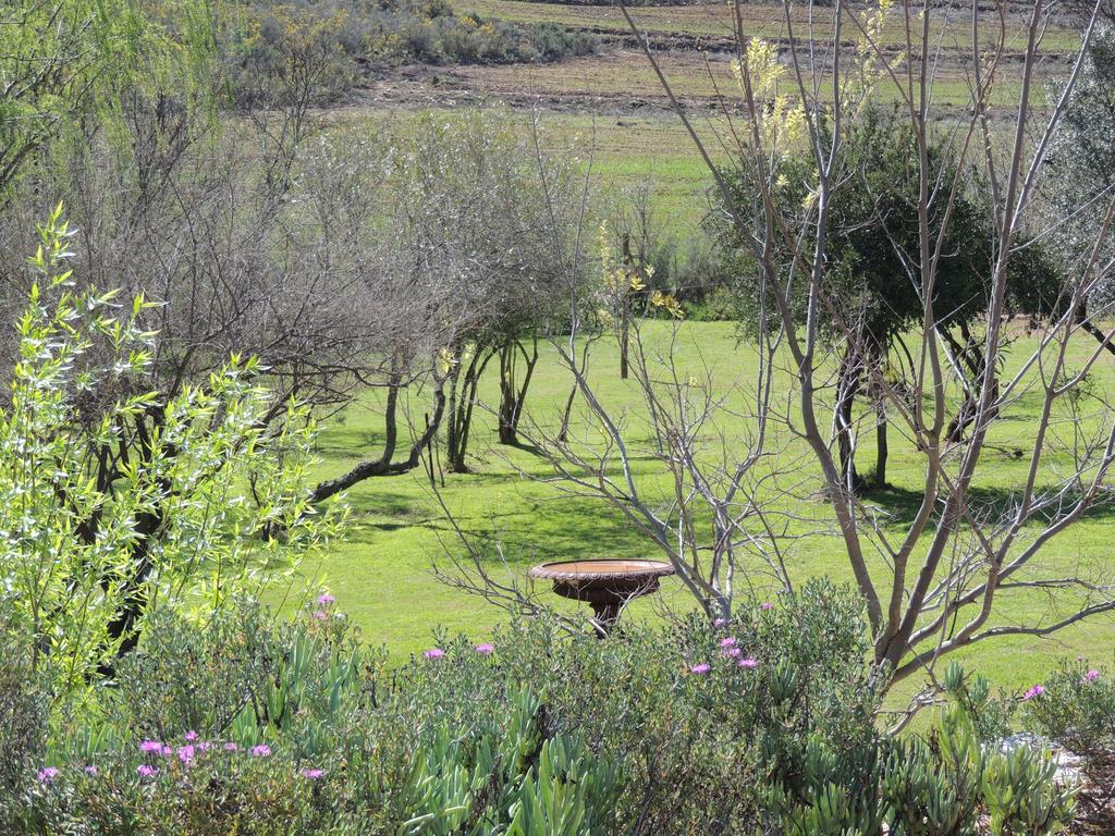 De Cango Hotel Oudtshoorn Esterno foto