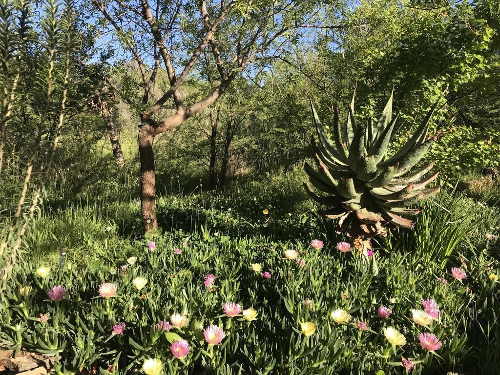 De Cango Hotel Oudtshoorn Esterno foto